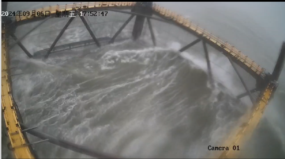 堅(jiān)如磐石！公司網(wǎng)箱以硬實(shí)力抵御17級(jí)臺(tái)風(fēng)，憑技術(shù)創(chuàng)新力保養(yǎng)殖安全